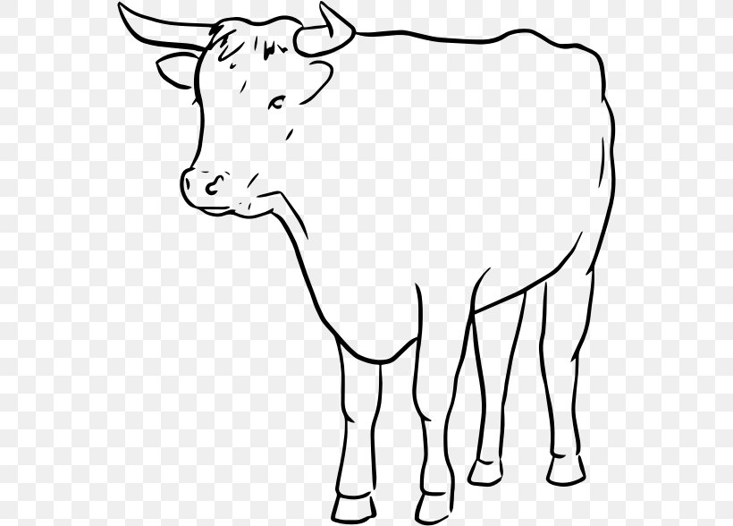Dairy Cattle Drawing Black And White Clip Art, PNG, 558x588px, Dairy Cattle, Animal Figure, Area, Black And White, Cattle Download Free