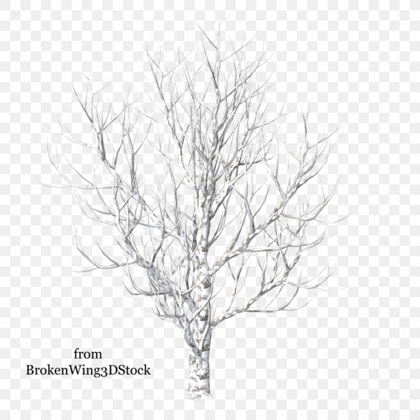 3D Computer Graphics Tree Rendering Photography Clip Art, PNG, 894x894px, 3d Computer Graphics, 3d Rendering, Animated Film, Black And White, Branch Download Free