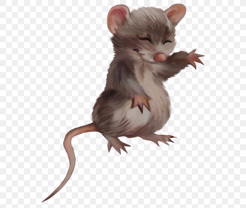 Computer Mouse Rat Rodent, PNG, 571x692px, Mouse, Carnivoran, Computer Mouse, Fauna, Ferret Download Free