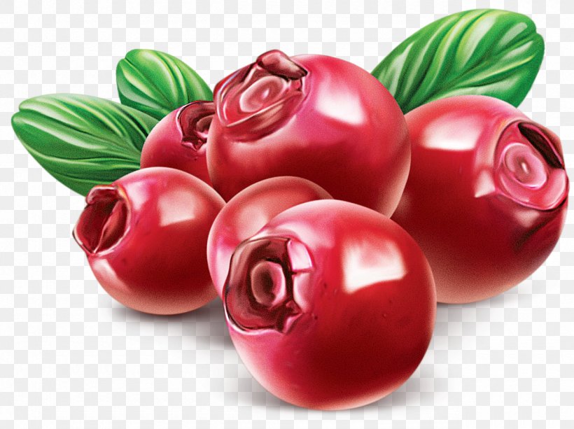Cranberry, PNG, 1280x958px, Cranberry, Accessory Fruit, Berry, Cdr, Food Download Free