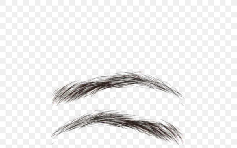 Eyebrow Eyelash, PNG, 512x512px, Eyebrow, Black And White, Copying, Dimple, Drawing Download Free