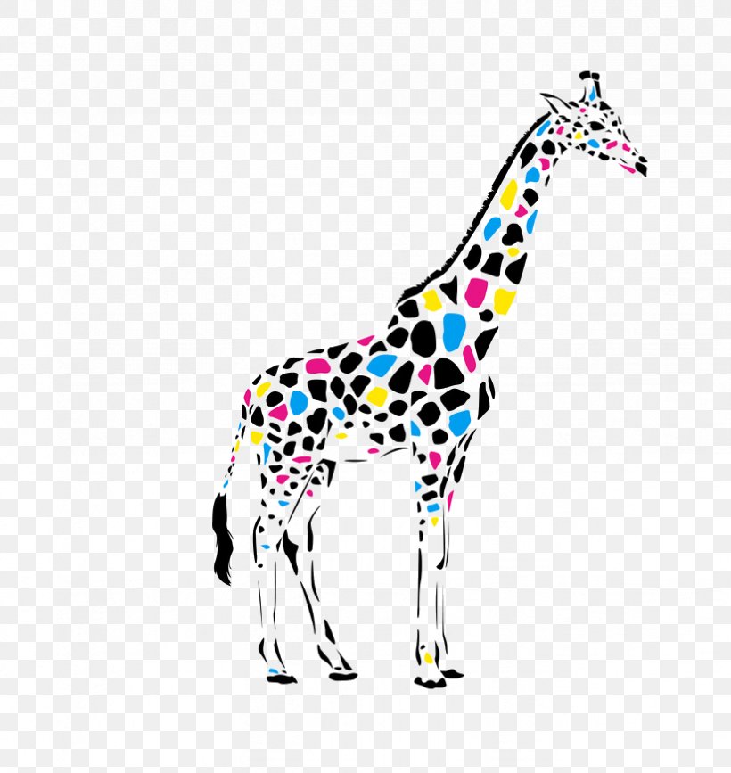 Giraffe Color Drawing Cdr, PNG, 823x871px, Giraffe, Cdr, Color, Drawing, Giraffidae Download Free