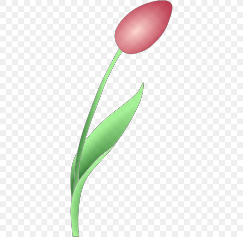 Tulip Flower Clip Art, PNG, 800x800px, Tulip, Flower, Flowering Plant, Free Content, Petal Download Free