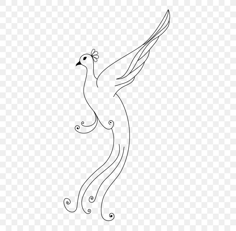 Bird Pavo Chicken Drawing Clip Art, PNG, 457x800px, Bird, Area, Art, Artwork, Asiatic Peafowl Download Free