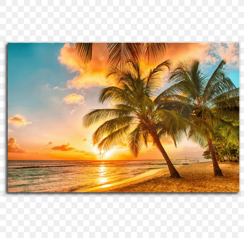 Caribbean Beach Shore Praia Da Adraga Travel, PNG, 800x800px, Caribbean, Beach, Beach House, Caribbean Sea, Ocean Download Free