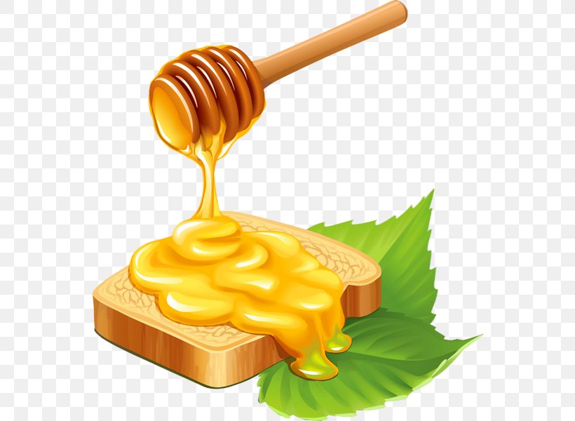 Honey Bee Honeycomb, PNG, 560x600px, Bee, Beehive, Food, Honey, Honey Bee Download Free