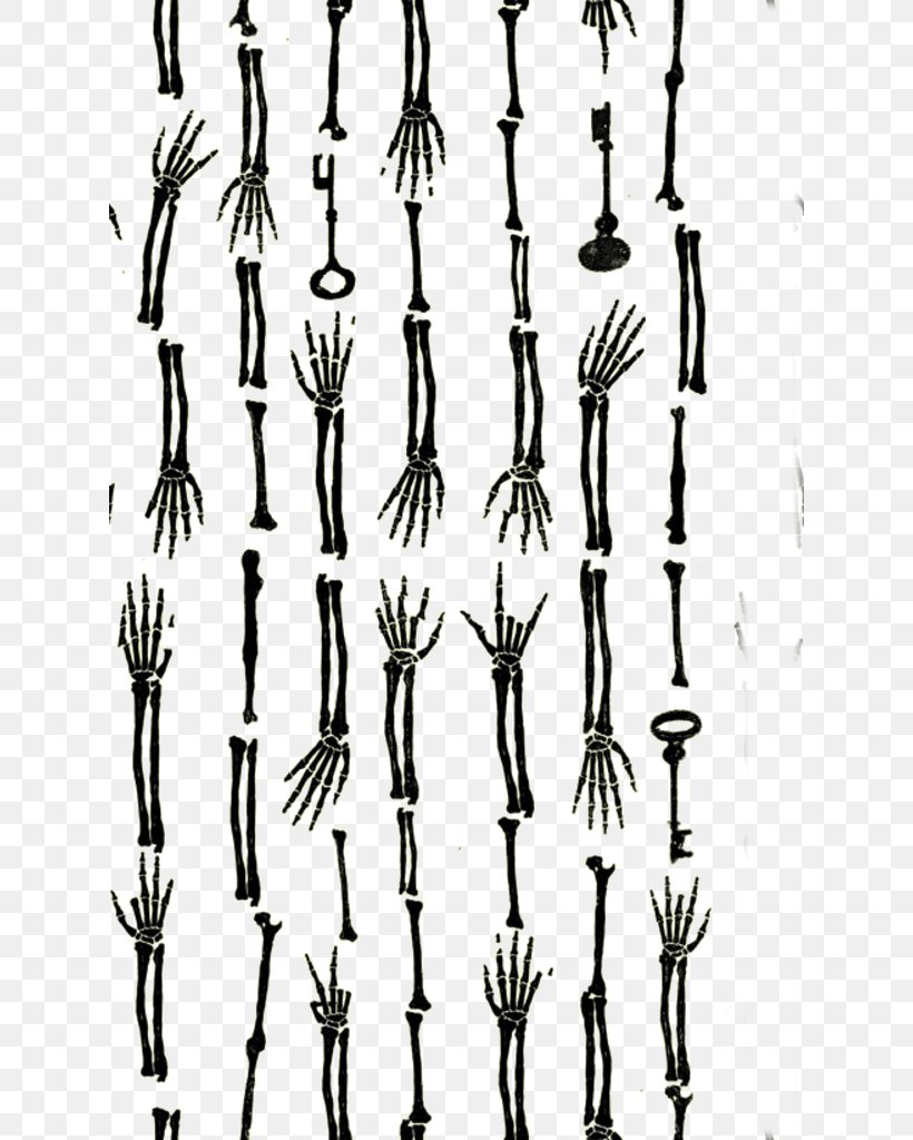 Skeleton Hand Bone, PNG, 624x1024px, Skeleton, Black And White, Bone, Branch, Hand Download Free