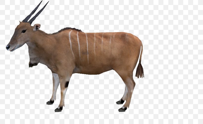 Zebu Waterbuck Ox Horn Terrestrial Animal, PNG, 800x500px, Zebu, Animal, Animal Figure, Antelope, Cattle Like Mammal Download Free