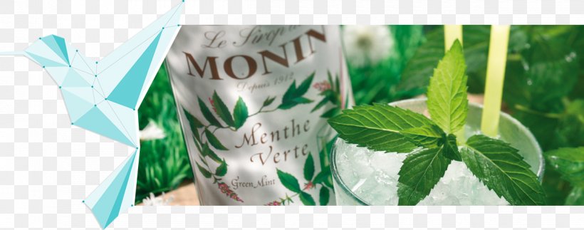 Cocktail Lemonade Tea Liqueur Peppermint, PNG, 1200x473px, Cocktail, Brand, Drink, Flavor, Food Download Free