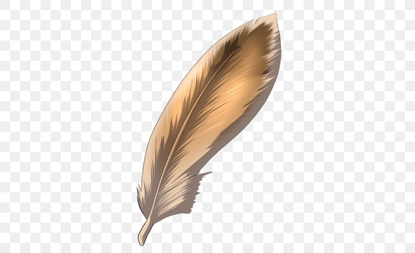 Feather, PNG, 500x500px, Feather, Quill, Wing Download Free