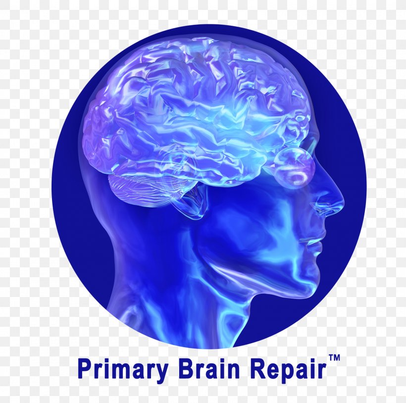 Human Brain Brain Injury Brain Repair Drug, PNG, 1600x1589px, Watercolor, Cartoon, Flower, Frame, Heart Download Free