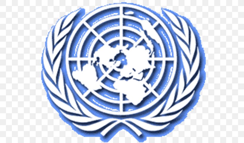 Model United Nations United States Organization Department Of Peacekeeping Operations, PNG, 568x480px, United Nations, Area, Communication, Cyprus, Iraq Download Free