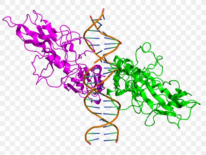 NF-u03baB Structure Protein Cytokine Clip Art, PNG, 960x720px, Structure, Area, Cytokine, Dna, Gene Download Free