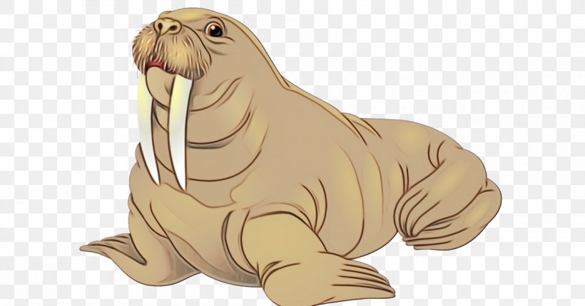 Seal Walrus California Sea Lion Animal Figure Marine Mammal, PNG, 1200x630px, Watercolor, Animal Figure, California Sea Lion, Earless Seal, Fur Seal Download Free