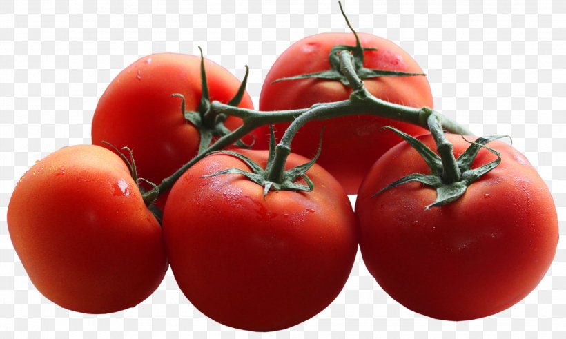 Cherry Tomato Blue Tomato Vegetable Clip Art, PNG, 2163x1297px, Cherry Tomato, Blue Tomato, Bush Tomato, Determinate Cultivar, Diet Food Download Free
