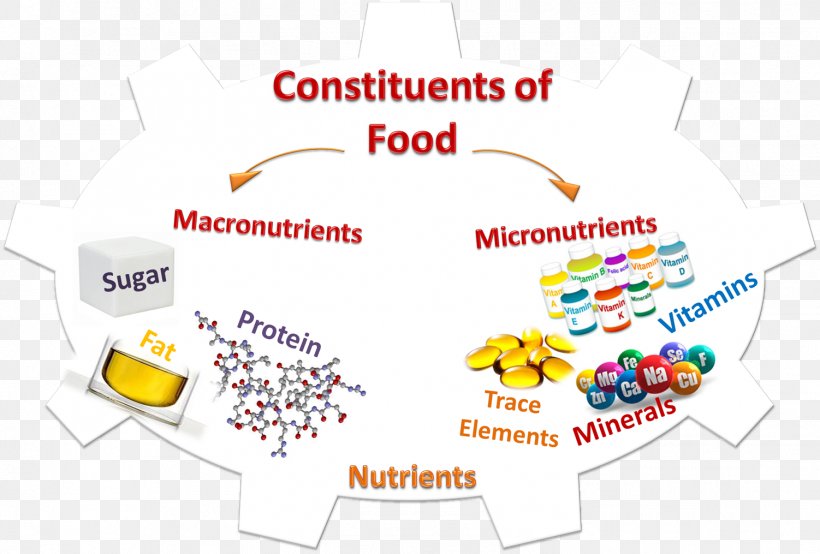 Micronutrient Food Nutrition Health, PNG, 1502x1015px, Nutrient, Animal Product, Area, Brand, Diabetes Mellitus Download Free