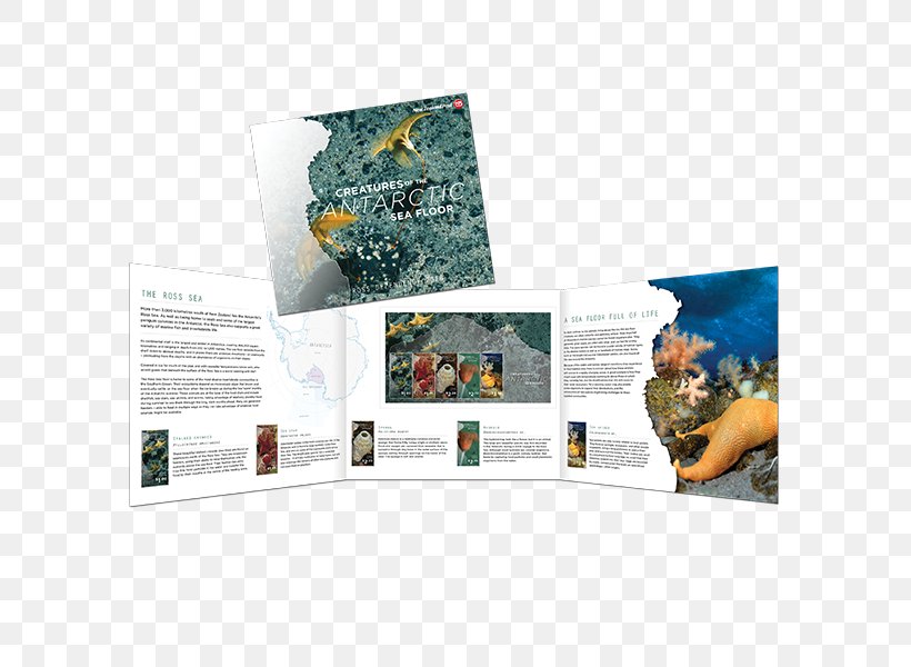 Ross Sea Antarctica Ross Dependency, PNG, 600x600px, Ross Sea, Antarctic, Antarctica, Brand, Brochure Download Free