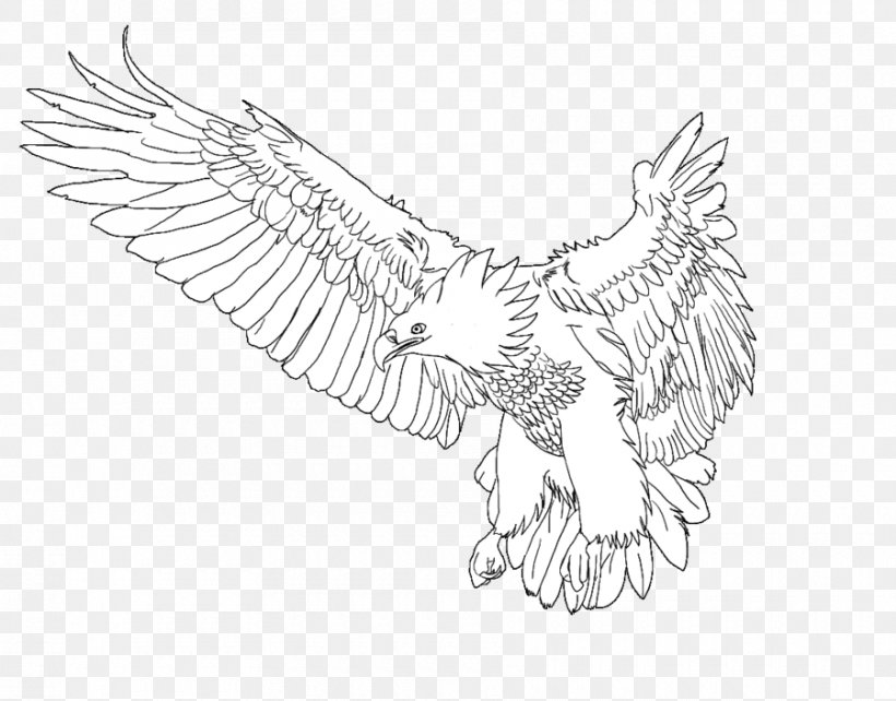 Bald Eagle Chicken Beak Sketch, PNG, 900x705px, Bald Eagle, Arm, Artwork, Beak, Bird Download Free