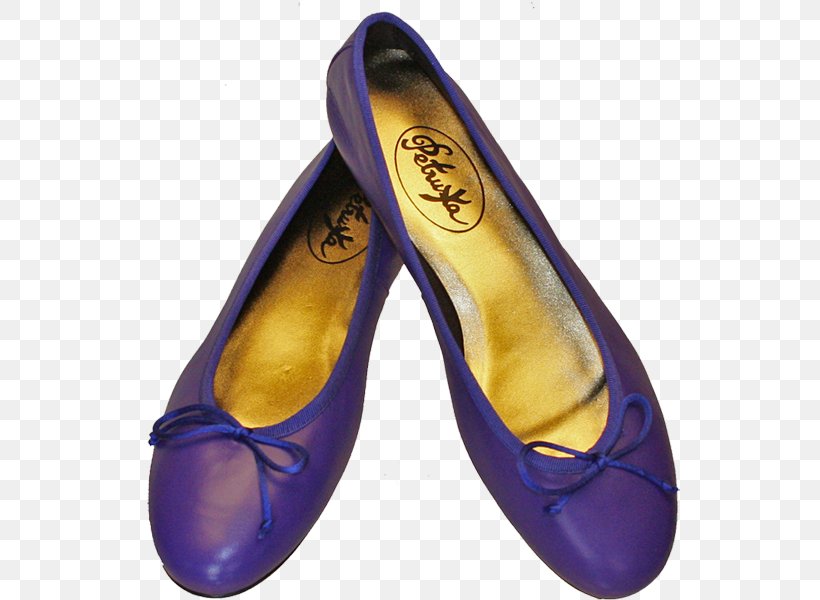 Ballet Flat Shoe Boot Leather Slipper, PNG, 600x600px, Ballet Flat, Blue, Boot, Footwear, Lazo Download Free