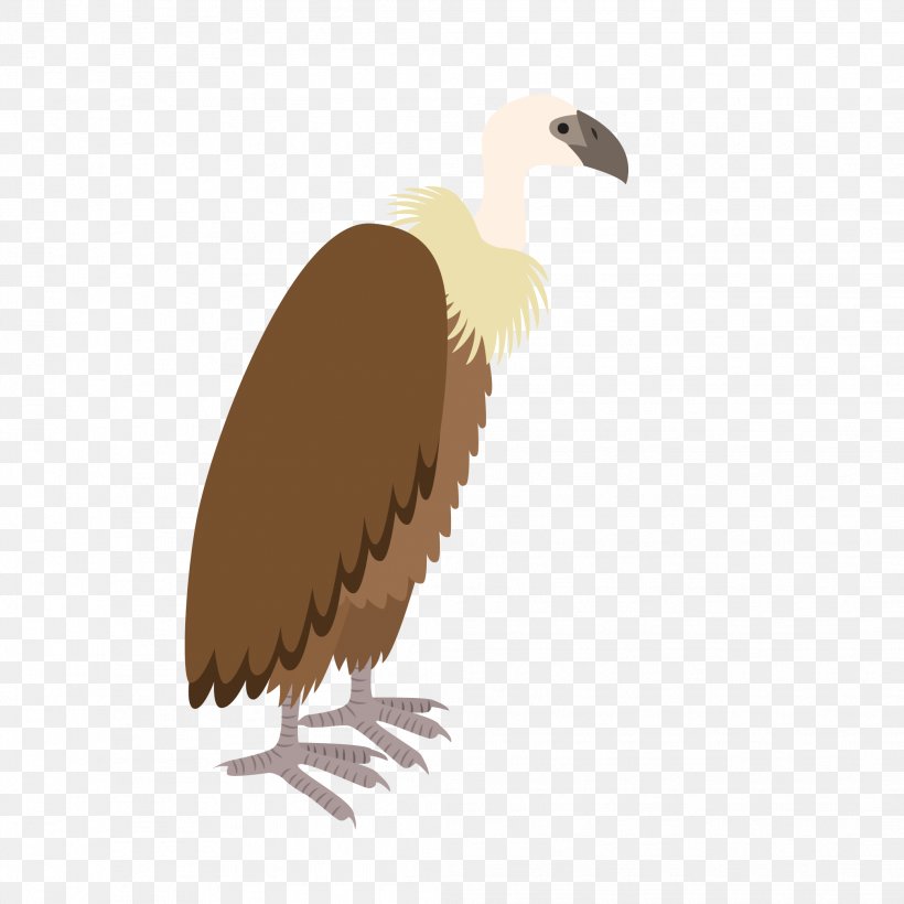 Bird Turkey Vulture Owl Eagle, PNG, 2083x2083px, Bird, Animal, Beak, Bird Of Prey, Cinereous Vulture Download Free