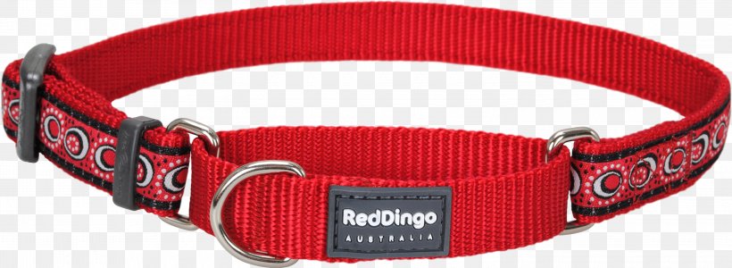 Dingo Dog Collar Martingale Modified Condition/decision Coverage, PNG, 3000x1101px, Dingo, Belt, Collar, Color, Daisy Chain Download Free