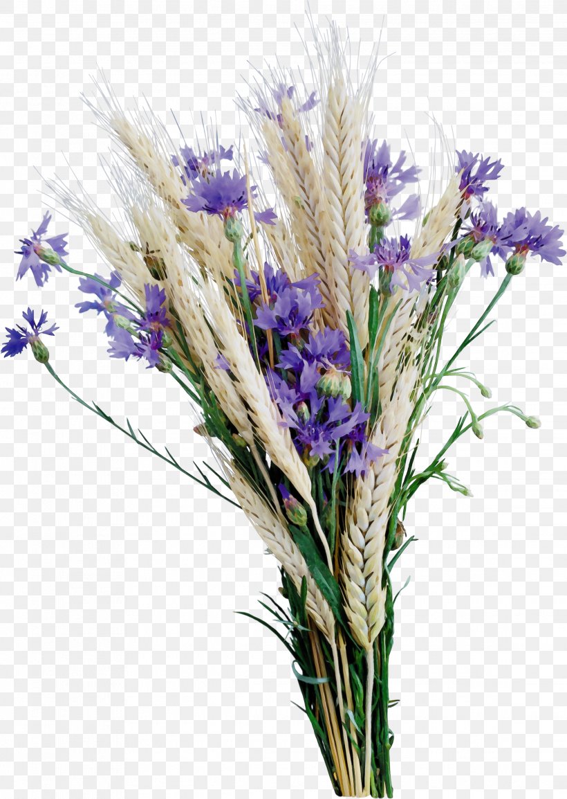 Flowers Background, PNG, 2272x3200px, English Lavender, Artificial Flower, Bouquet, Cut Flowers, Egyptian Lavender Download Free