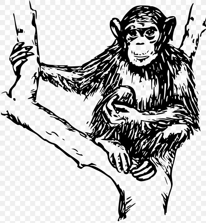 Chimpanzee Ape Gorilla Monkey Clip Art, PNG, 2216x2400px, Chimpanzee, Ape, Art, Artwork, Black And White Download Free