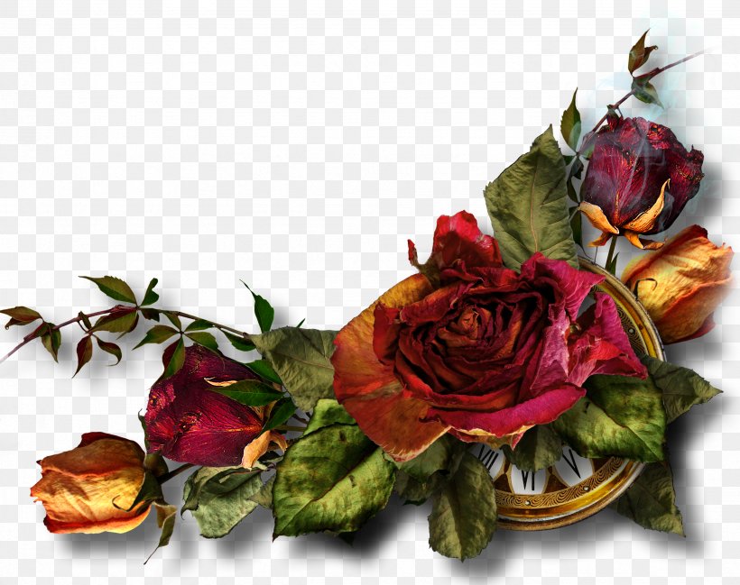 Clip Art, PNG, 2466x1953px, Flower, Cut Flowers, Drawing, Floral Design, Floristry Download Free