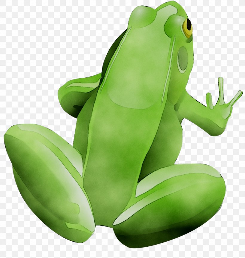 Frog Clip Art Vector Graphics Free Content, PNG, 948x1000px, Frog, Amphibian, Cartoon, Drawing, Green Download Free