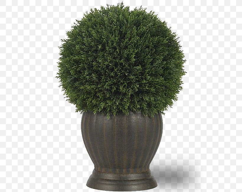 Green Grass Background, PNG, 650x650px, Topiary, Arborvitae, Artificial Tree, Box, Flower Download Free