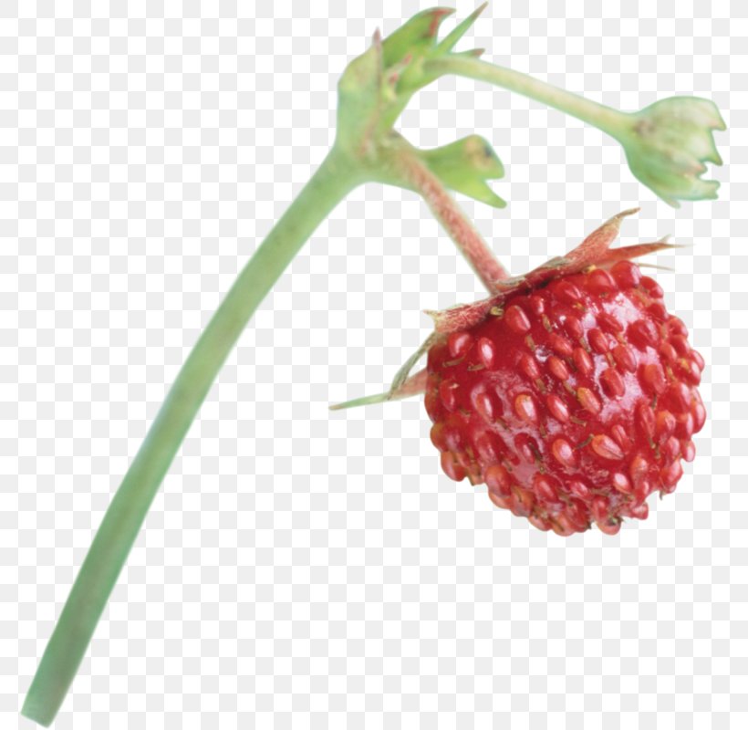 Musk Strawberry Red Mulberry Raspberry Boysenberry, PNG, 777x800px, Strawberry, Accessory Fruit, Berry, Boysenberry, Food Download Free