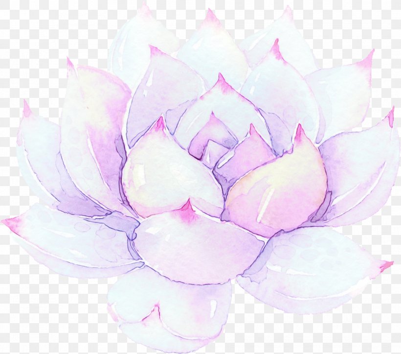 Pink Flower Cartoon, PNG, 1985x1751px, Watercolor, Aquatic Plant, Aquatic Plants, Blossom, Chinese Peony Download Free