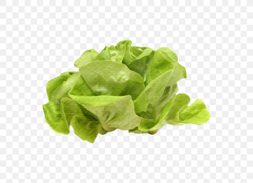 Romaine Lettuce Vegetarian Cuisine Spinach Vegetable Food, PNG, 699x593px, Romaine Lettuce, Cuisine, Culinary Arts, Food, Greens Download Free