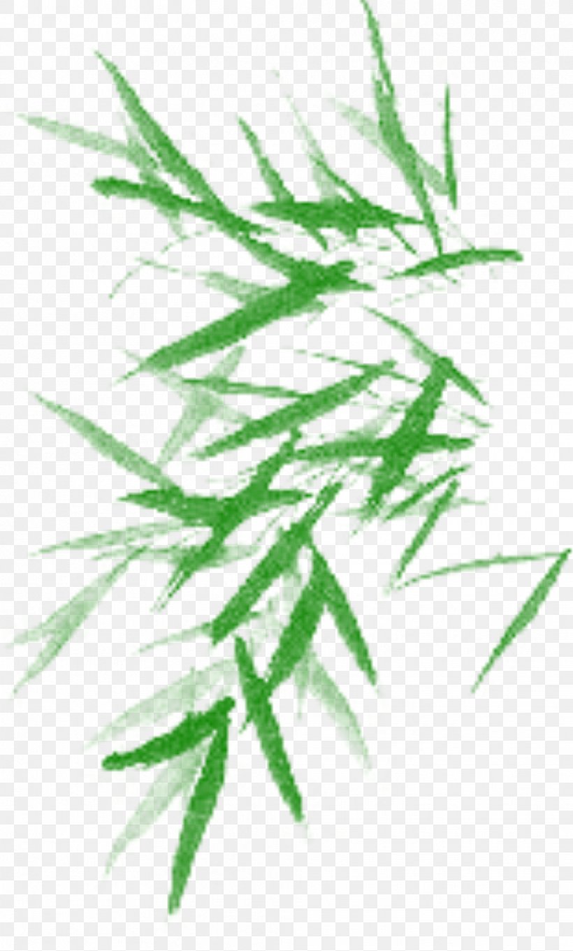 Bamboo Ink Brush Ink Wash Painting, PNG, 988x1641px, Bamboo, Branch, Grass, Grass Family, Green Download Free