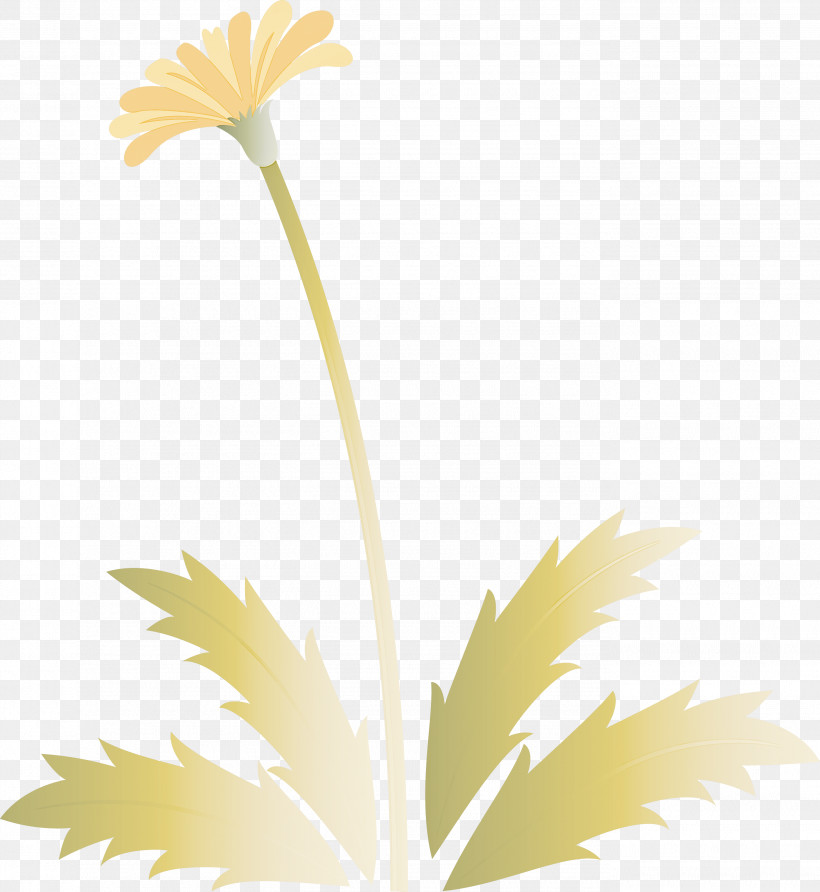 Dandelion Flower Easter Day Flower Spring Flower, PNG, 2755x3000px, Dandelion Flower, Camomile, Chamomile, Daisy Family, Easter Day Flower Download Free