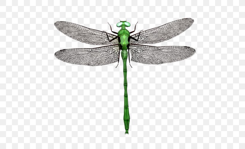 Dragonfly Stock Illustration Stock Photography Drawing Royalty-free, PNG, 500x500px, Dragonfly, Arthropod, Dragonflies And Damseflies, Drawing, Fly Download Free
