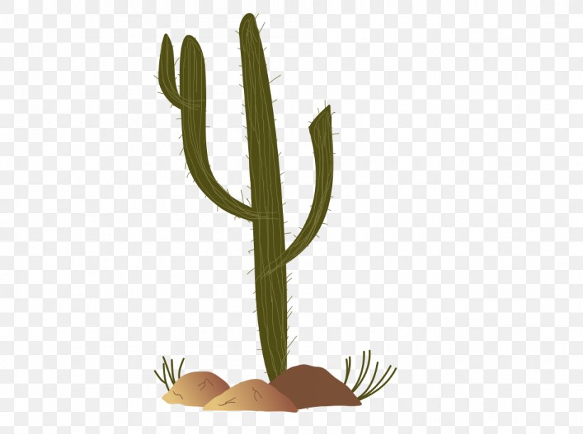 Sonoran Desert Cactaceae Saguaro Clip Art, PNG, 944x704px, Sonoran Desert, Cactaceae, Cactus Garden, Flowering Plant, Fouquieria Splendens Download Free