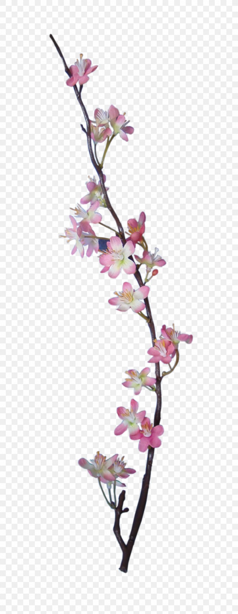 Embellishment Flower Digital Scrapbooking Apple, PNG, 1116x2872px, Embellishment, Apple, Blossom, Branch, Cherry Blossom Download Free