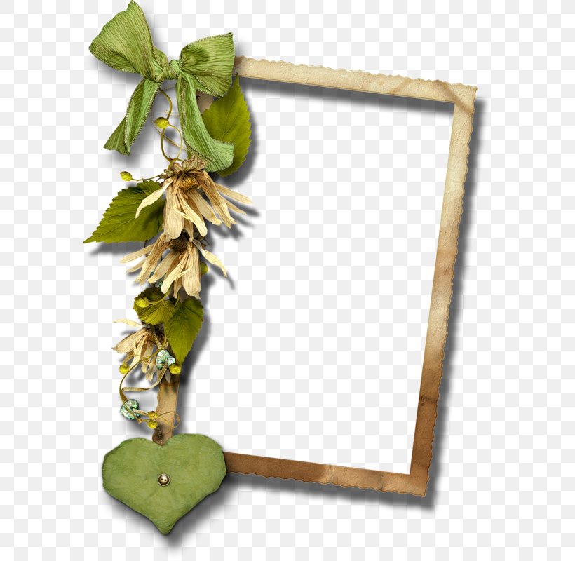 Picture Frames Image Blog Photography, PNG, 583x800px, Picture Frames, Art, Blog, Digital Photo Frame, Leaf Download Free