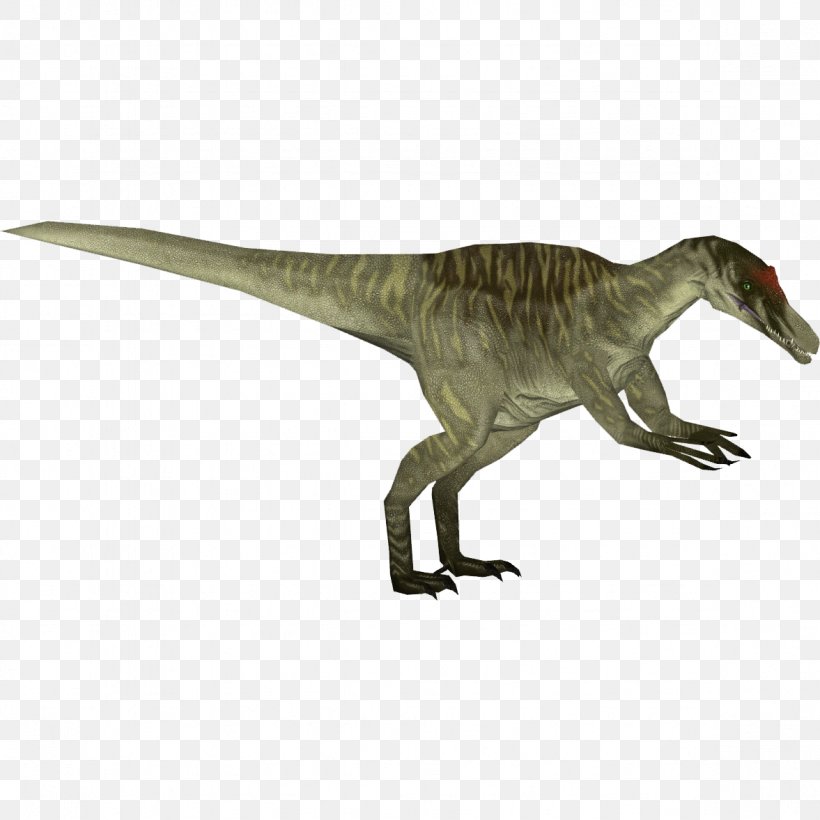 Zoo Tycoon 2 Tyrannosaurus Baryonyx Dinosaur Iguanodon, PNG, 1177x1177px, Zoo Tycoon 2, Acrocanthosaurus, Allosaurus, Animal Figure, Austroraptor Download Free