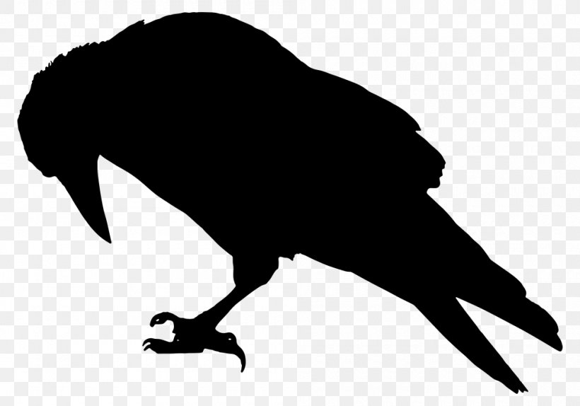 The Raven Bird Common Raven Crow Family Clip Art, PNG, 1000x701px, Raven, Animal, Beak, Bird, Black Download Free