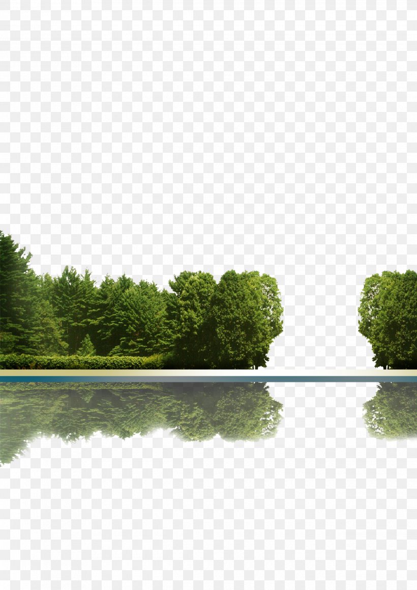 Tree Icon, PNG, 2480x3508px, Tree, Area, Daytime, Grass, Green Download Free