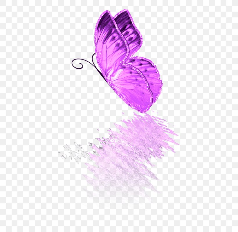 Butterfly 2M, PNG, 480x800px, Butterfly, Butterflies And Moths, Lilac, Magenta, Moth Download Free