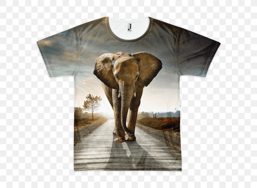 Elephant In The Room Quotation Shallows Where A Lamb Could Wade And Depths Where An Elephant Would Drown. Poaching, PNG, 600x600px, Elephant, African Elephant, Animal, Art, Art Museum Download Free