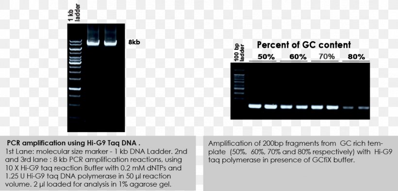 Taq Polymerase Polymerase Chain Reaction DNA Polymerase, PNG, 1081x519px, Taq Polymerase, Base Pair, Brand, Dna, Dna Polymerase Download Free
