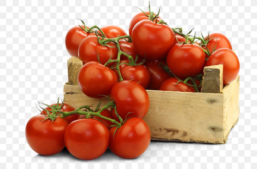 Tomato Organic Food Cultivar Fertilisers, PNG, 742x540px, Tomato, Aretus, Bush Tomato, Carotene, Crop Yield Download Free