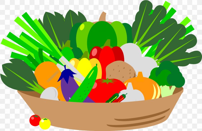 Aojiru Vegetable Food Low-carbohydrate Diet Greater Burdock, PNG, 1432x926px, Aojiru, Child, Dietary Fiber, Eating, Flower Download Free