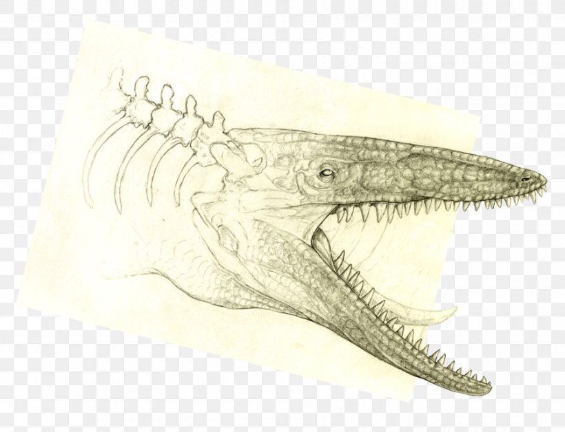 Crocodile Velociraptor Drawing /m/02csf Jaw, PNG, 900x690px, Crocodile, Artwork, Crocodilia, Dinosaur, Drawing Download Free