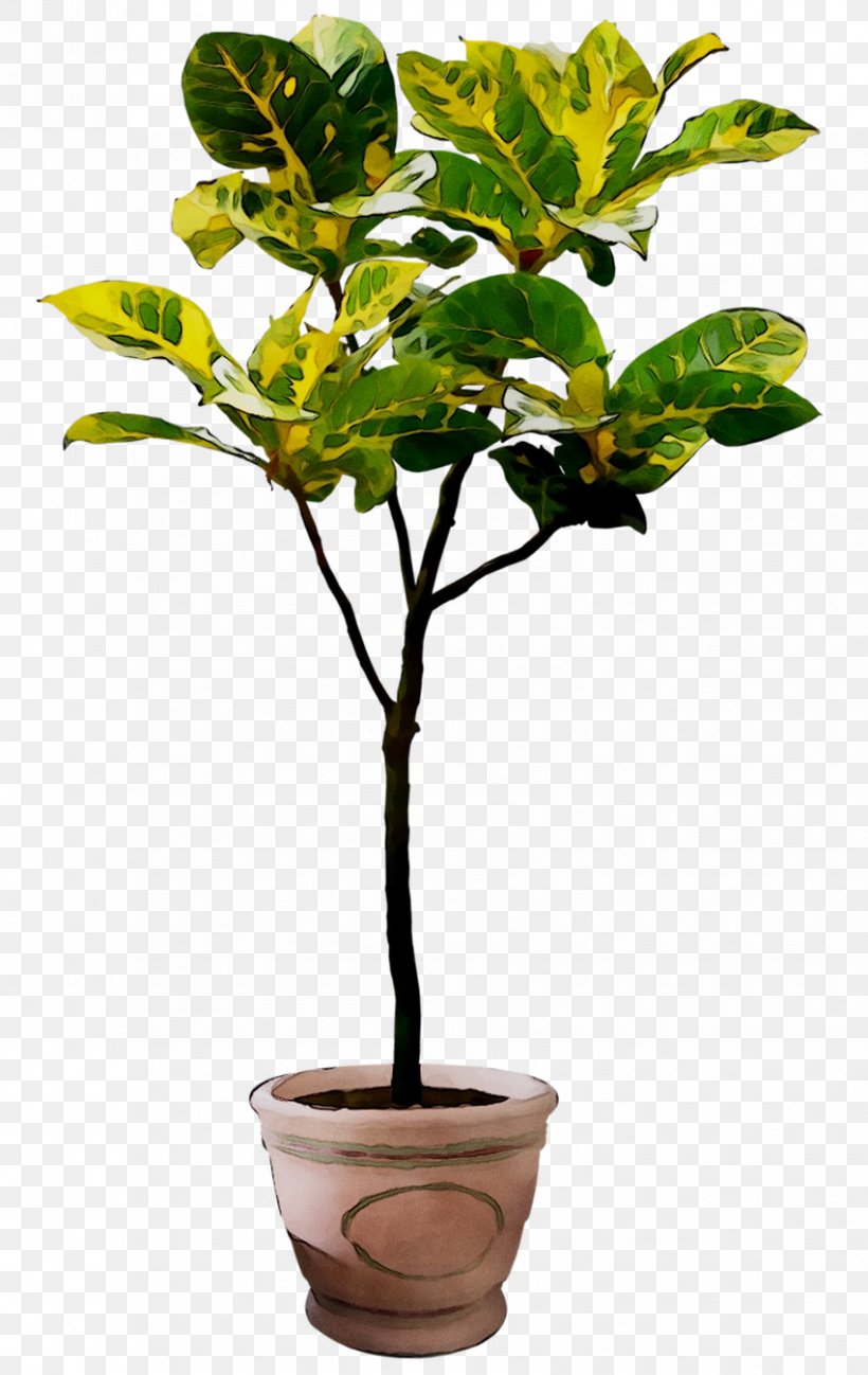 Flowerpot Houseplant, PNG, 851x1348px, Flowerpot, Flower, Flowering Plant, Houseplant, Leaf Download Free