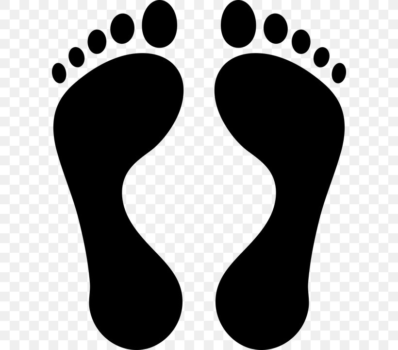 Footprint Clip Art, PNG, 606x720px, Footprint, Animal Track, Barefoot, Black, Black And White Download Free
